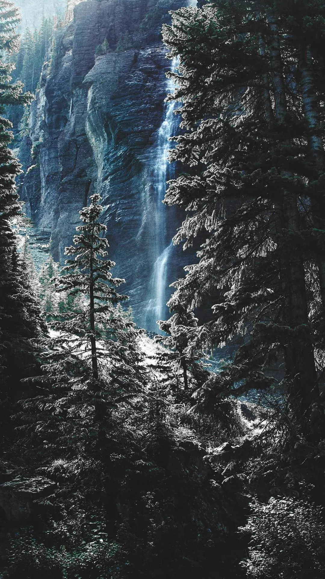 Nature 7